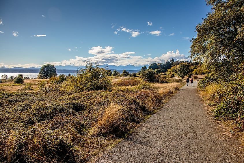 The view from Discovery Park in Seattle, Washington