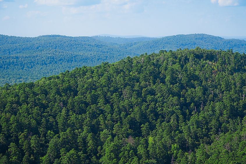 The Ouachita Mountains, in Hot Springs, Arkansas.