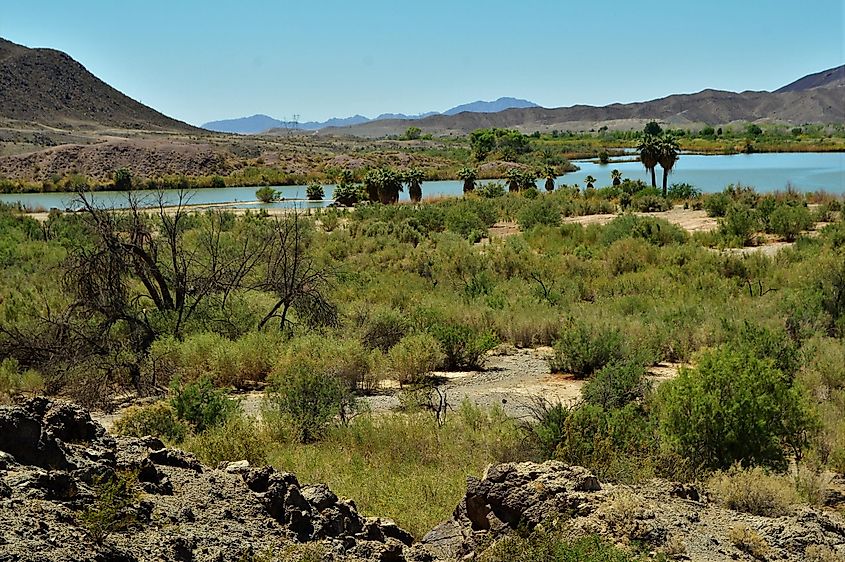 View of Mittry Lake. 