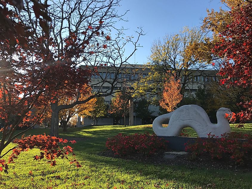 Statue in Northern Kentucky University in Autumn.