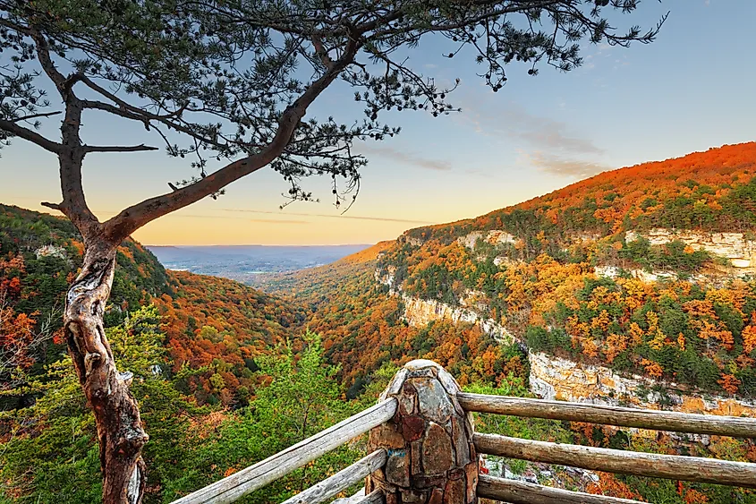 Cloudland Canyon State Park, Georgia