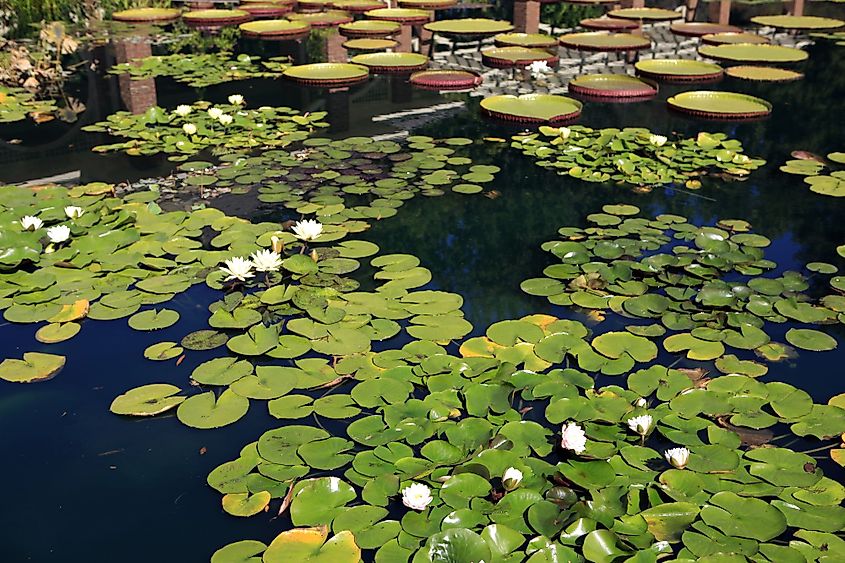 Huntsville Botanical Garden