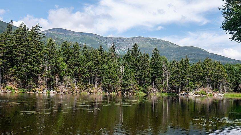 Lost Pond, Gorham New Hampshire