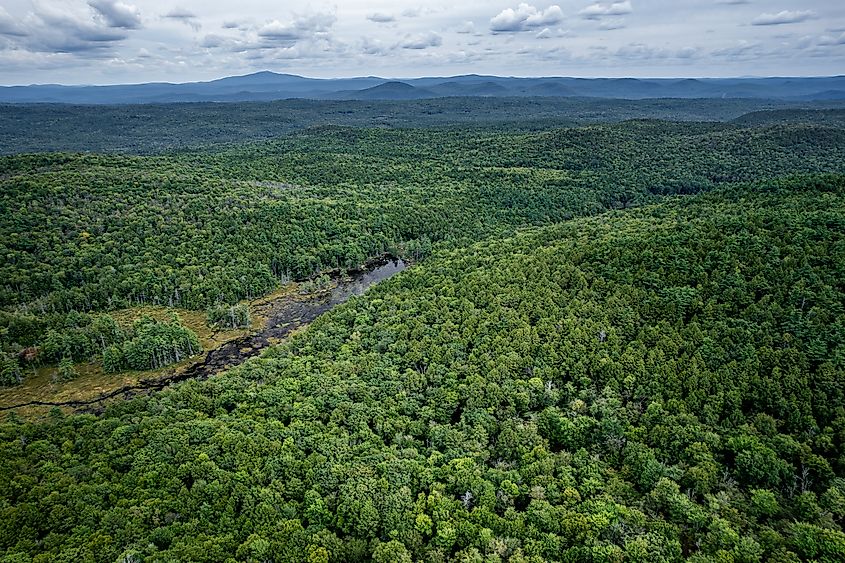 Aerial view of Pisgah State Park, New Hampshire in late summer 