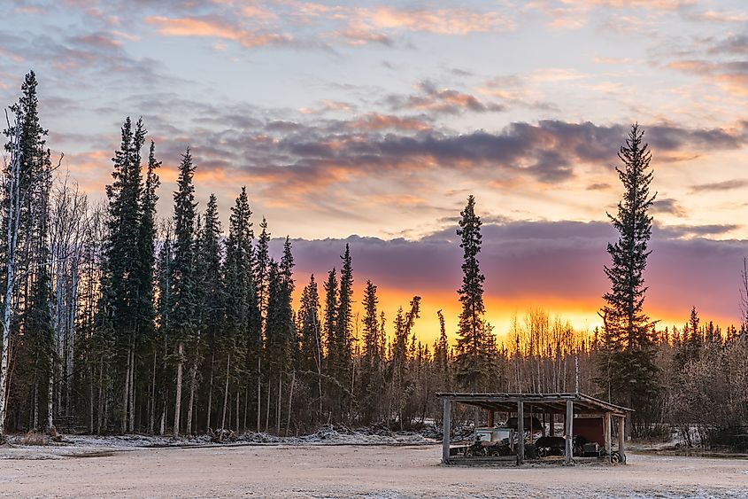 Yukon-Koyukuk Census Area, Alaska. Image credit: Markus Trienke, CC BY-SA 2.0, via Wikimedia Commons