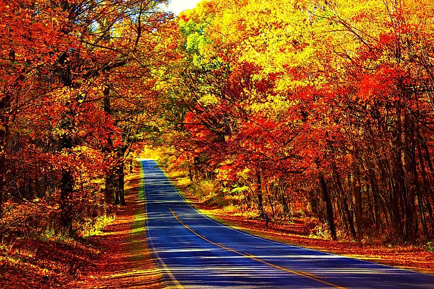 A road winding through brilliant red and orange autumn foliage.