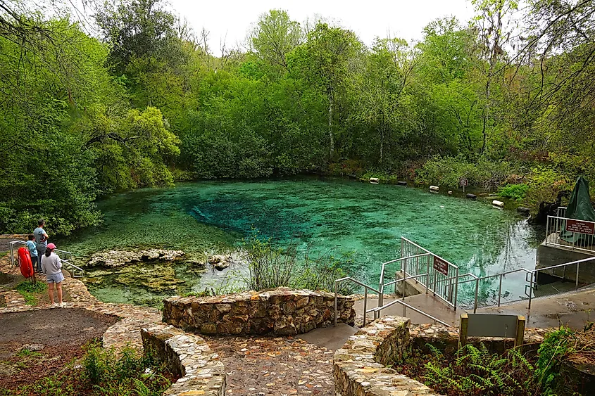 Swimming pool in Ichetucknee Springs State Park.