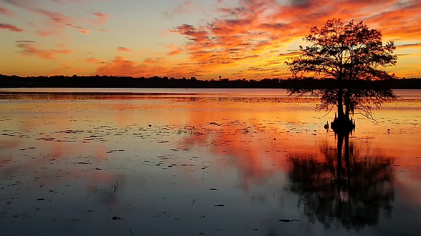 Lake Seminole on the Georgia-Florida border