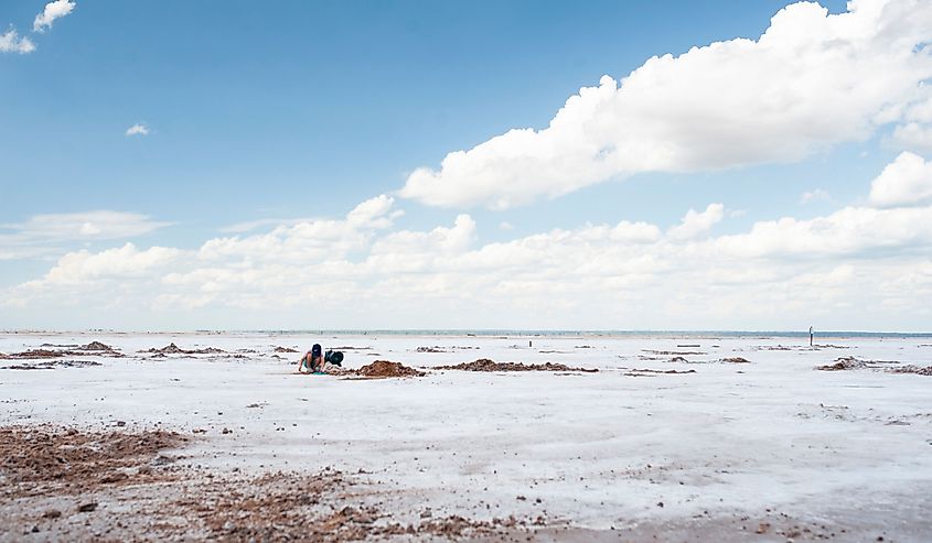 Selenite Crystal digging at the Great Salt Plains Natural Wildlife Preserve near Jet, Oklahoma