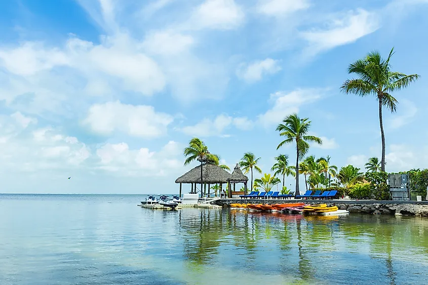 The coastline at Key Largo, Florida