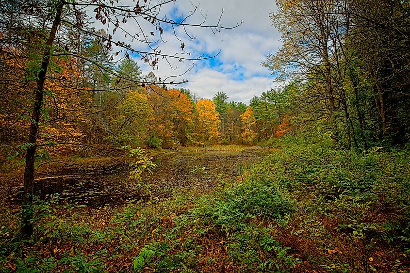 A pond in the Poconos near Milford, Pennsylvania.