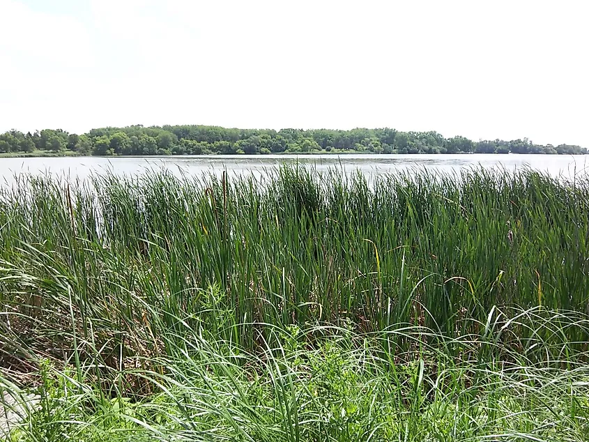 Oakwood Lakes.