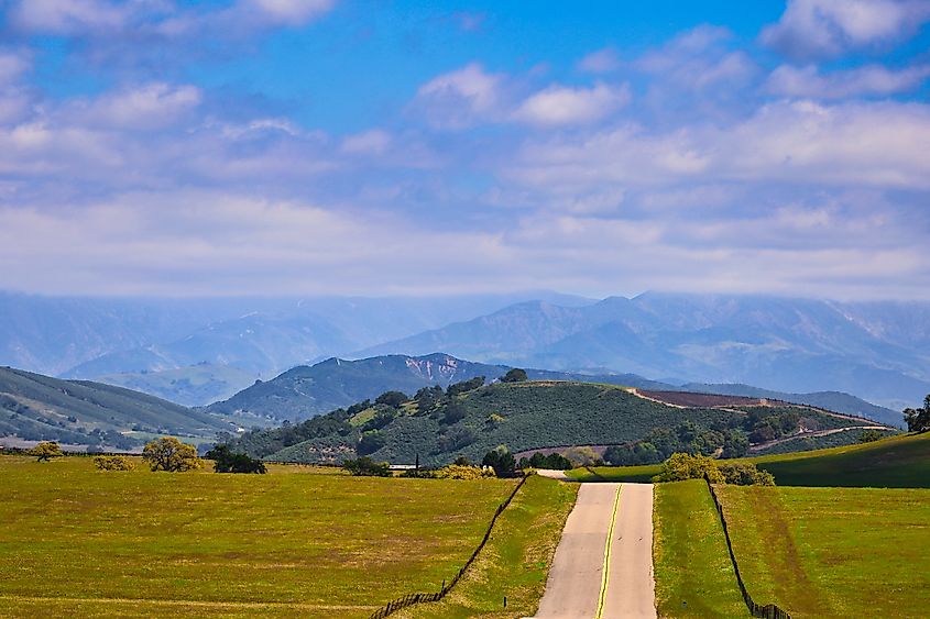 Spring in Santa Ynez, California.
