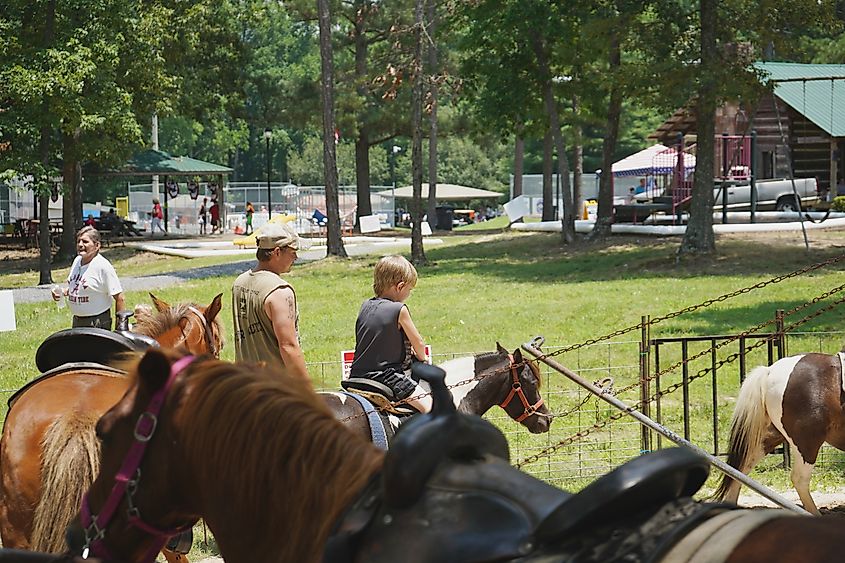 Sand Mountain Potato Festival in Henager, Alabama.