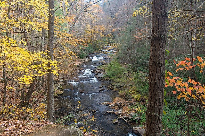 Beautiful nature around Tellico Plains, Tennessee.