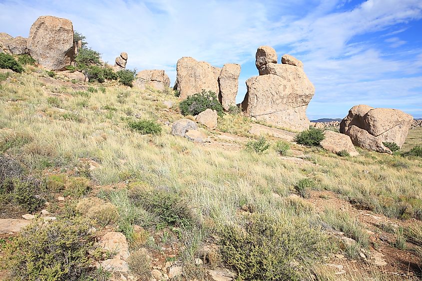 City of Rocks State Park, New Mexico.