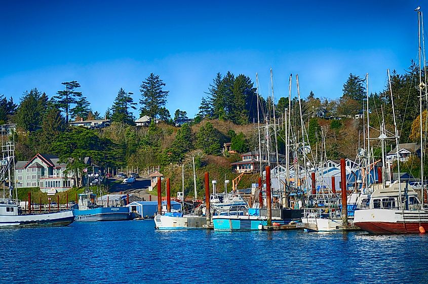 Fishing fleet in Yaquina bay harbor marina in Newport, Oregon