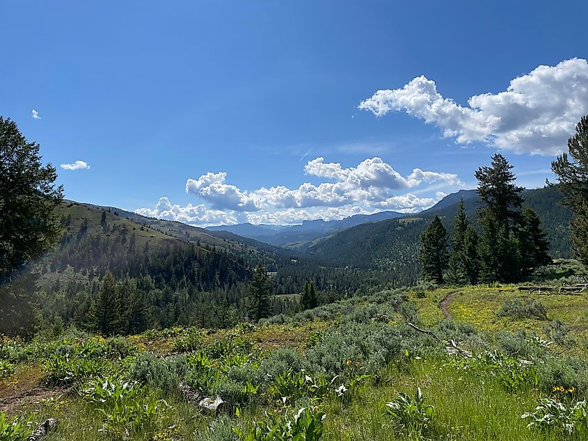 Scenic views of the ShoShone National Forest.