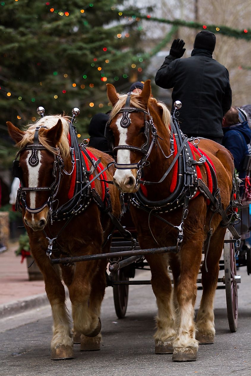 52nd Annual Georgetown Christmas Market in Georgetown, Colorado.
