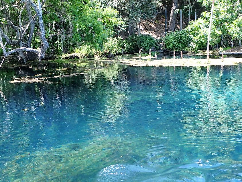 San Marcos Springs, Texas