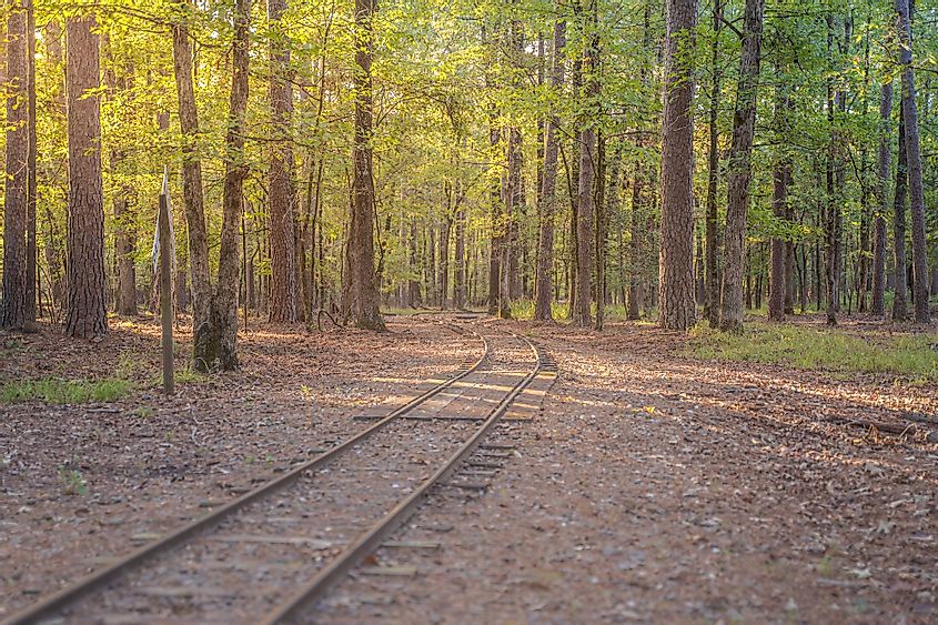 Rail tracks through the woods in the Brokwn Bow area of Oklahoma.