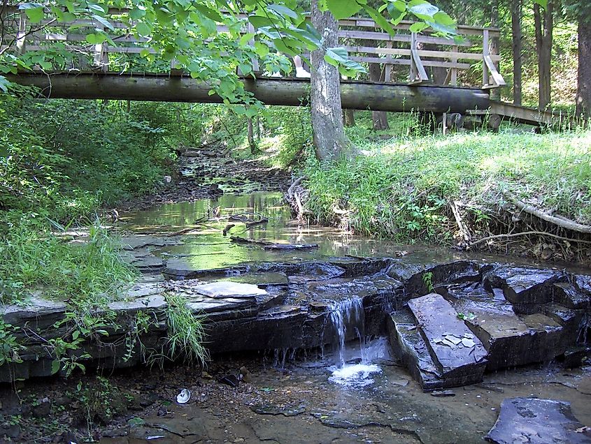 Serene nature at the Jefferson Memorial Forest in Kentucky.