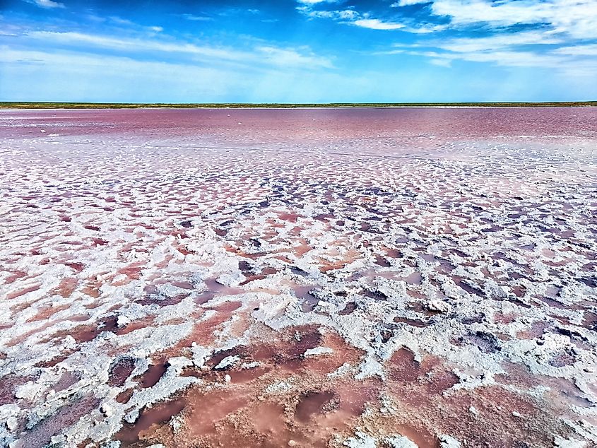 Hypersaline conditions in pink lakes.