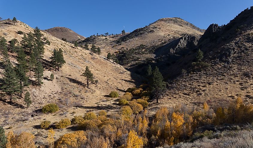 Fall colors along Hunter Creek Trail