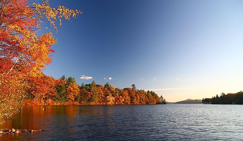 Fall Foliage by Lake Dunmore in Vermont