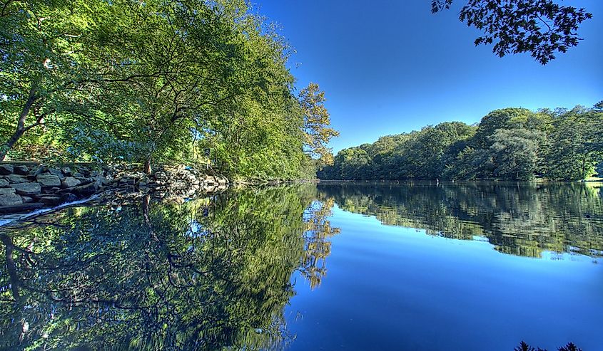 Lake view in Mount Vernon, New York in a forested area. 