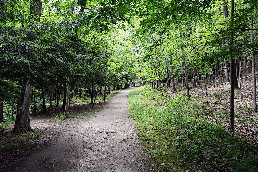 Rim Trail at Buttermilk Falls State Park, Ithaca, New York