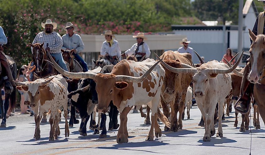 Bandera, Texas, Labor Day Parade