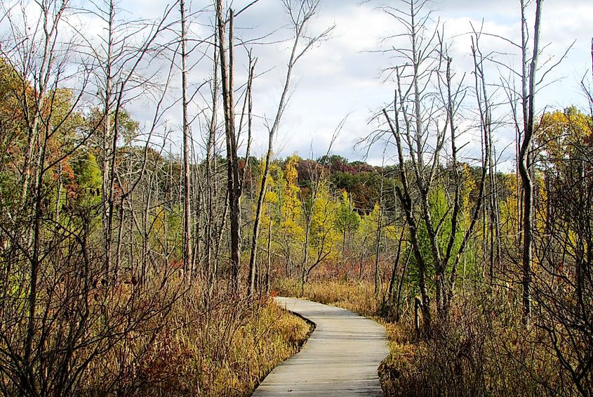 A walking path in Dexter, Michigan.