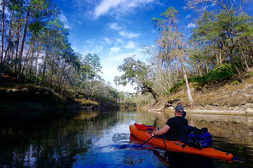 People kayaking on the Suwannee River, via 