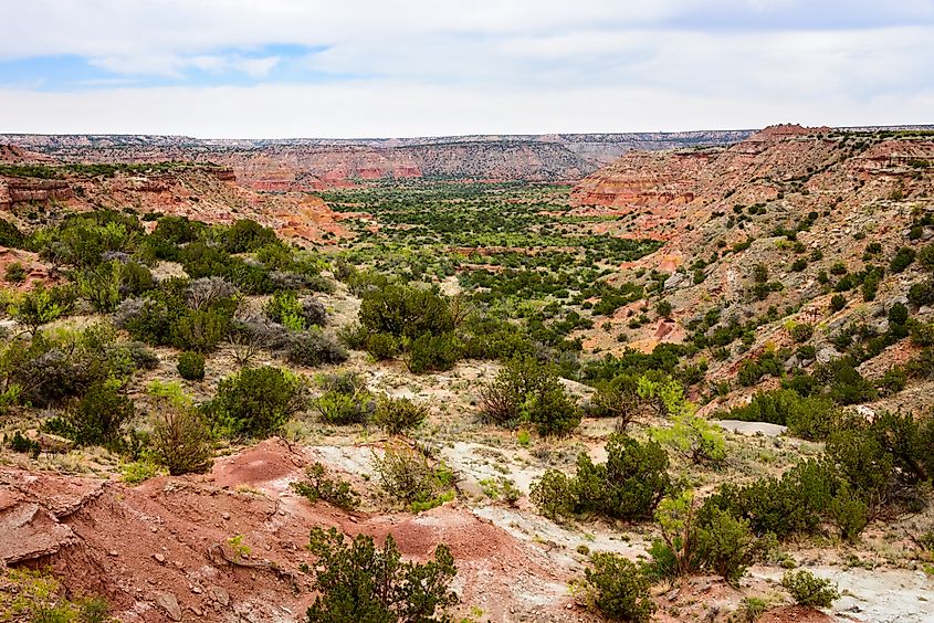 Palo Duro Canyon State Park.