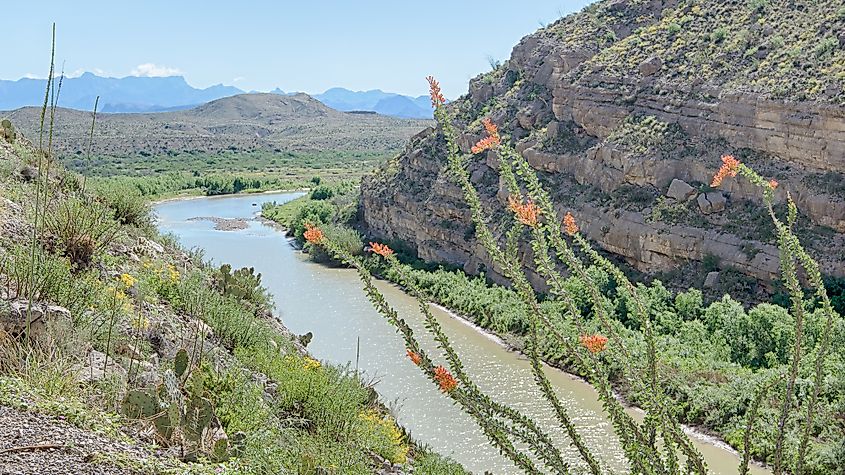 Desert and mountain scenery in Big Bend National Park, Texas.