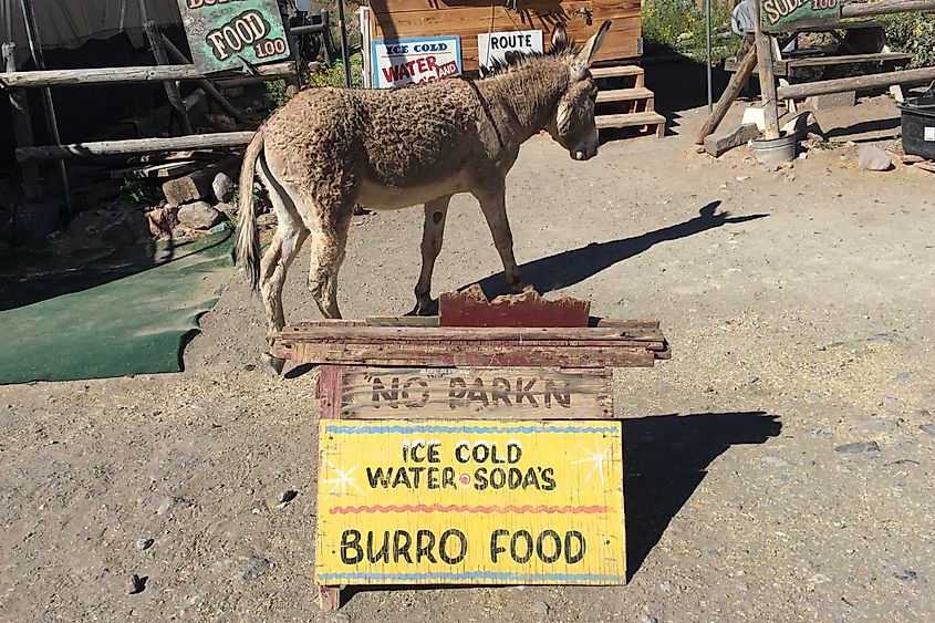 Main Street in Oatman, Arizona.