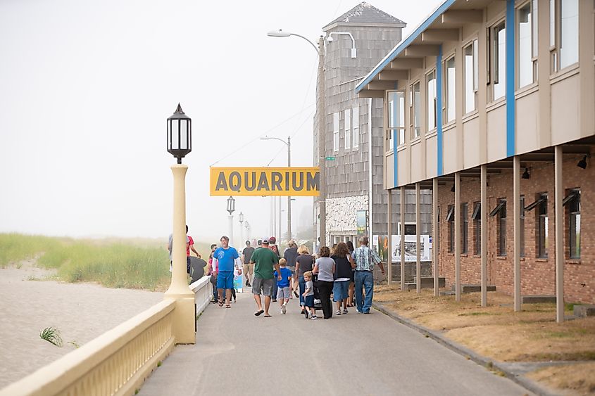 Crowd of people going to the Seaside Aquarium in Oregon.