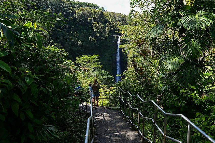Akaka Falls State Park near Pepeekeo in Hawaii.