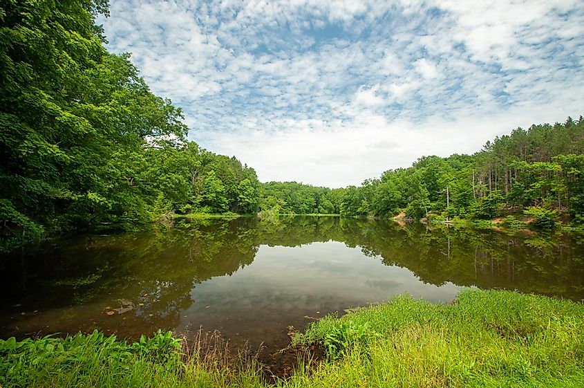 Государственный парк округа Браун - озеро Огл, через Мишель Корфхейдж / Shutterstock.com