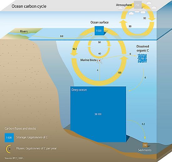 Ocean carbon cycle from GRID-Arendal