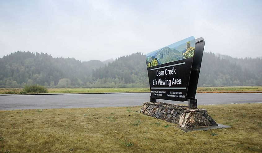 A view of the street side sign for the Dean Creek Elk Viewing Area.
