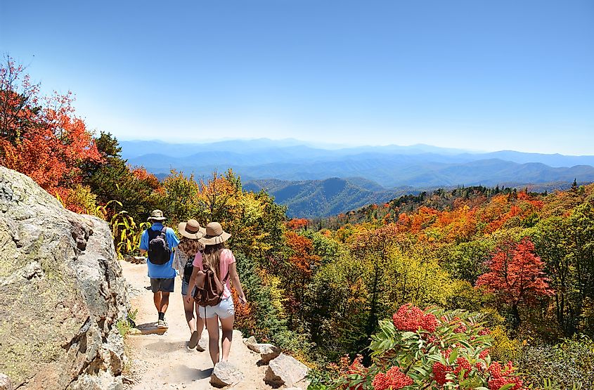 Hikers exploring the Blue Ridge Mountains near Asheville in autumn with fall colors in the vegetation