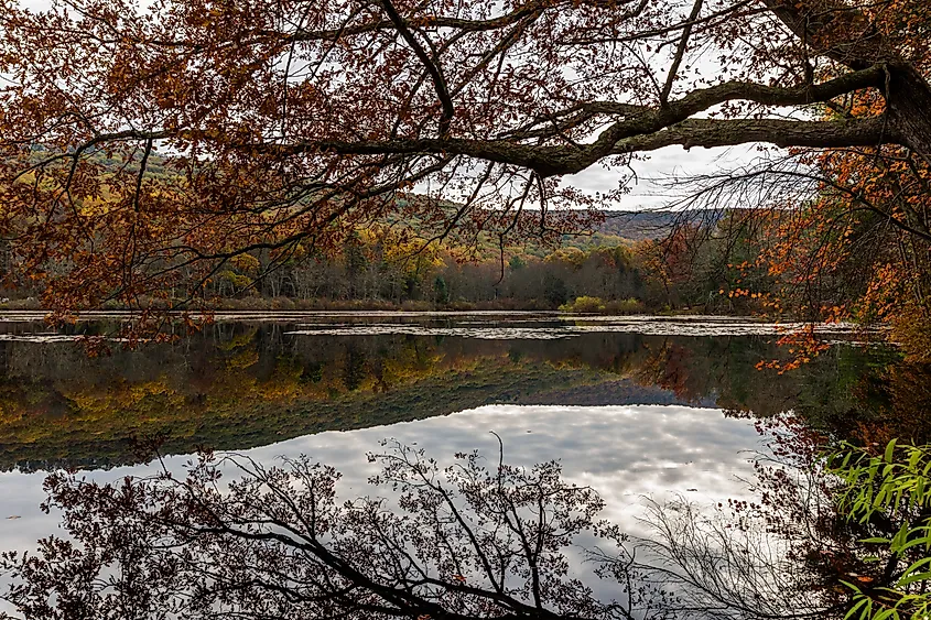 Laurel Lake Recreational Area in Pine Grove Furnace State Park in Pennsylvania during fall..