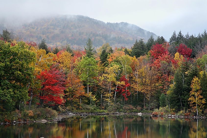 Foggy autumn morning on Tupper Lake, Adirondack Mountains, New York.