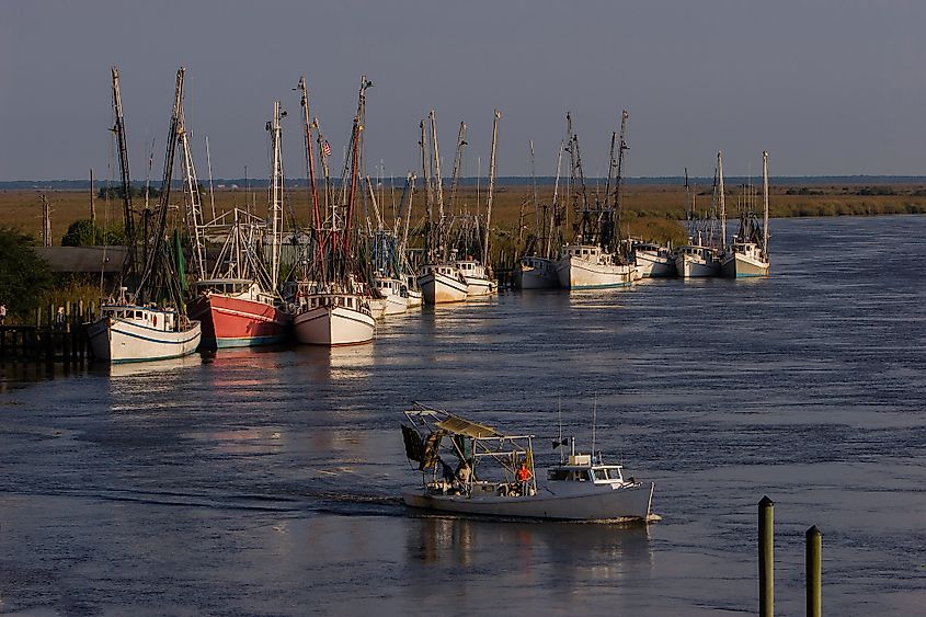 The harbor at Darien, Georgia.