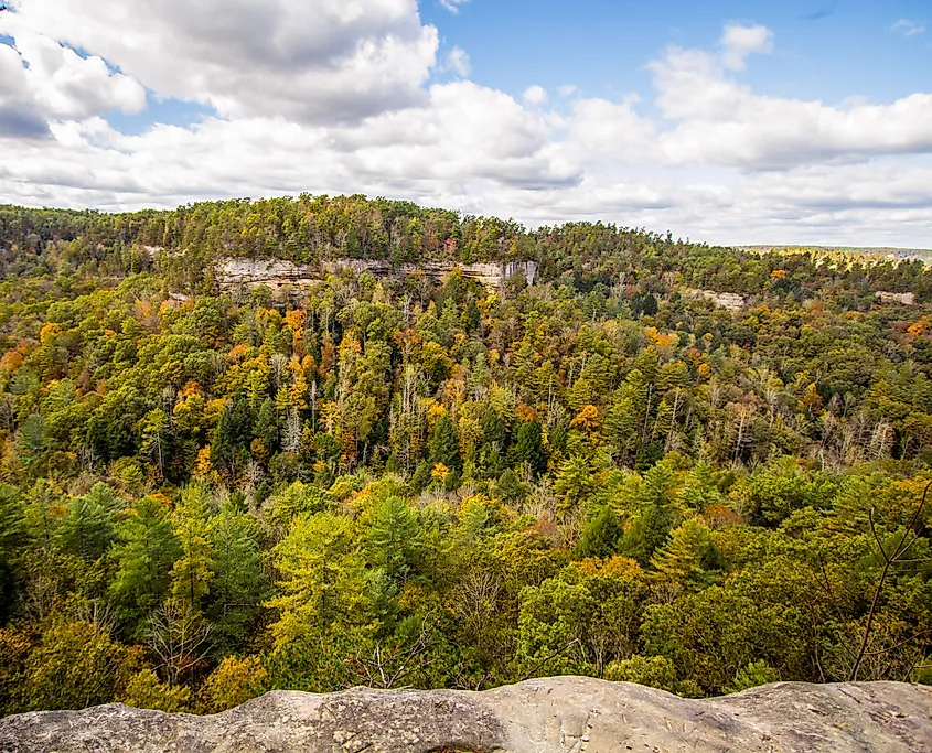 The Daniel Boone National Forest in Slade, Kentucky.