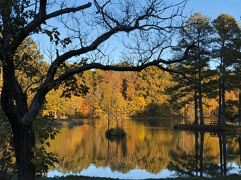 A picture of Herb Parsons Lake. 
