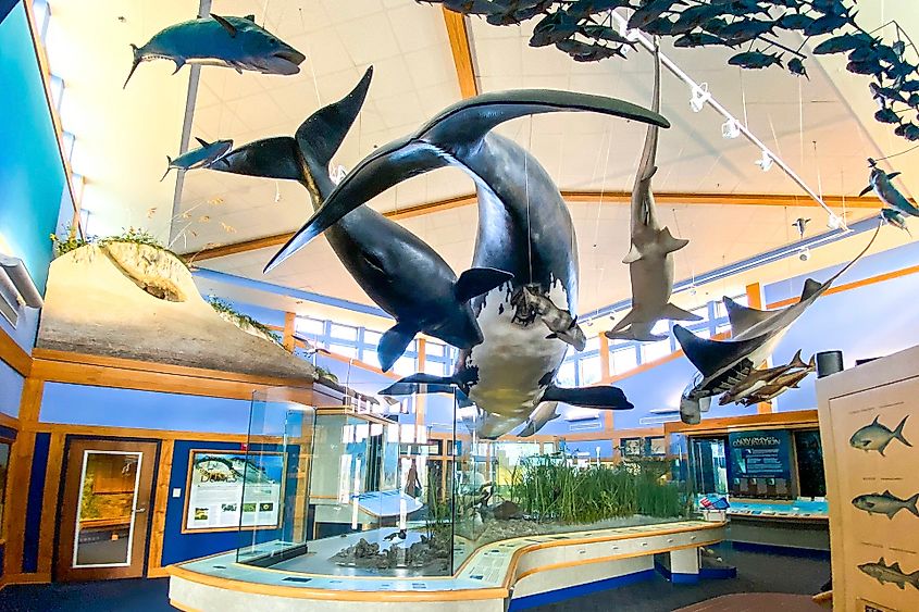 The   Environmental Education Cente Photo courtesy FloridasHistoricCoast.com