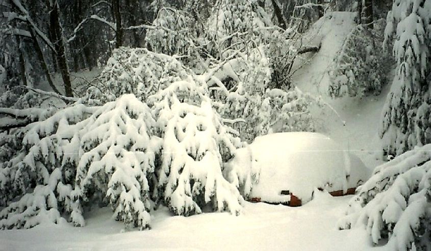 The 1993 Storm of the Century's snowfall downed a tree in Asheville, North Carolina. An automobile covered in snow is shown on the right.
